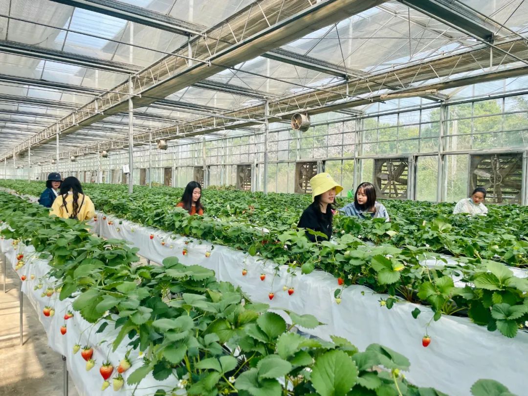 【婦女節(jié)】走進(jìn)自然，遇見“莓”好