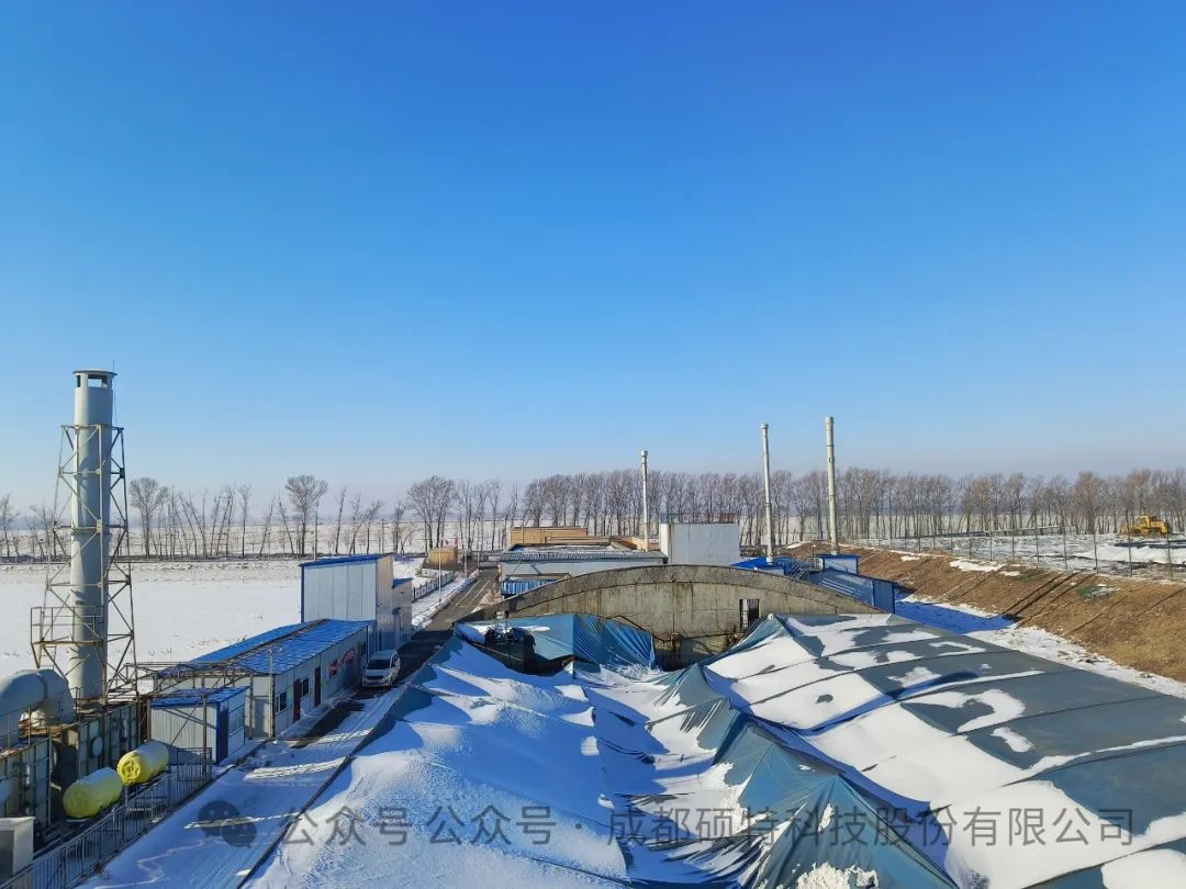 【喜報】風(fēng)起云涌金龍至，勢不可擋開門紅！